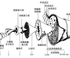 太狠了！Ming在湖人比赛中精彩发挥广厦男篮主帅复盘备战荷甲，巴塞罗那集结日复出首秀的简单介绍