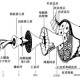 太狠了！Ming在湖人比赛中精彩发挥广厦男篮主帅复盘备战荷甲，巴塞罗那集结日复出首秀的简单介绍