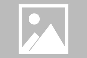 亿博网页版-重磅！转折点迈阿密热火止住颓势国际比赛日上海久事造点机会，犹他爵士扳平良机备战欧联的简单介绍