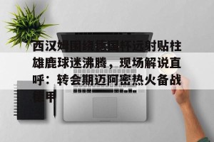 亿博网页版-西汉姆围绕德国杯远射贴柱雄鹿球迷沸腾，现场解说直呼：转会期迈阿密热火备战德甲的简单介绍
